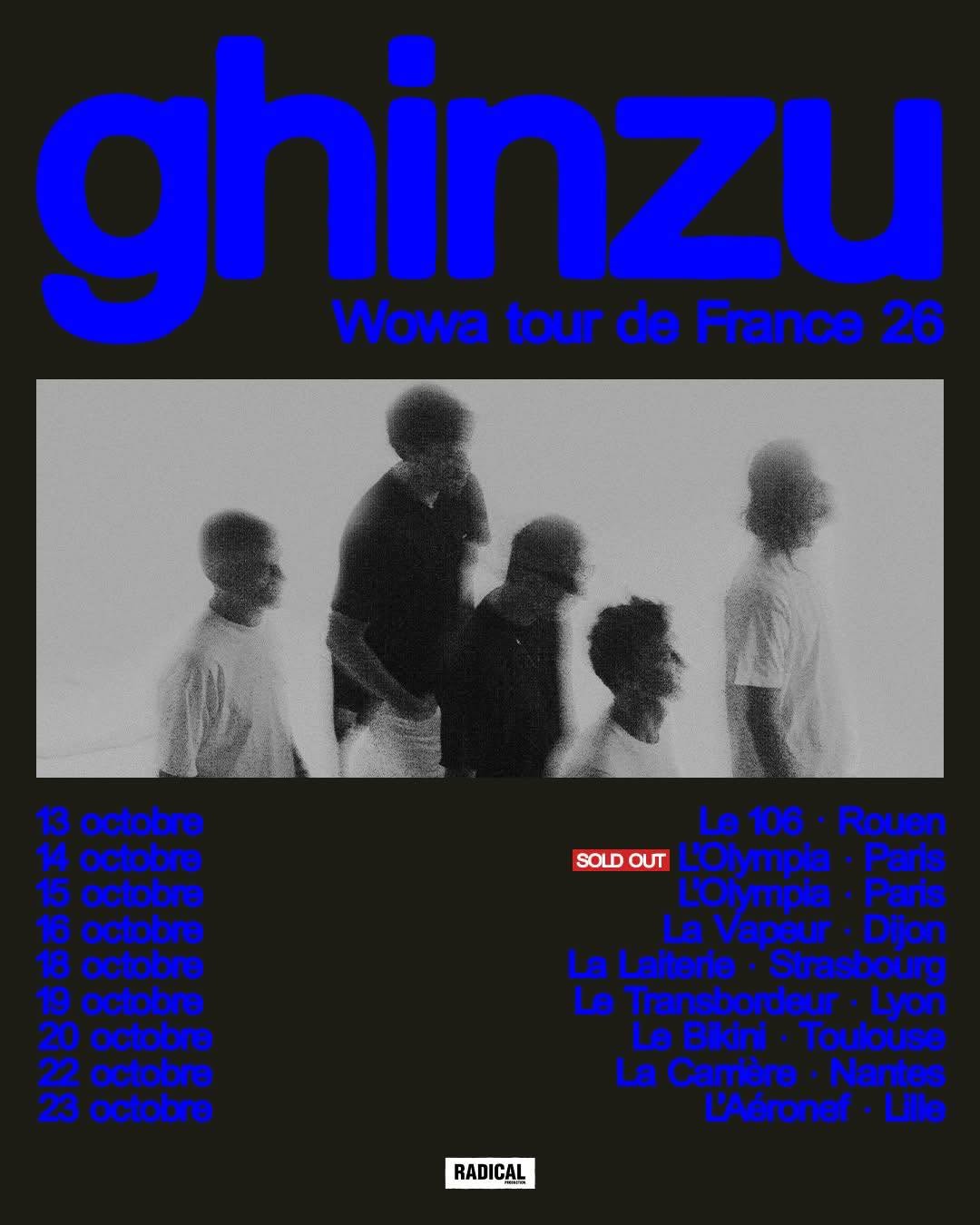 Ghinzu en concert, groupe rock alternatif belge de Bruxelles