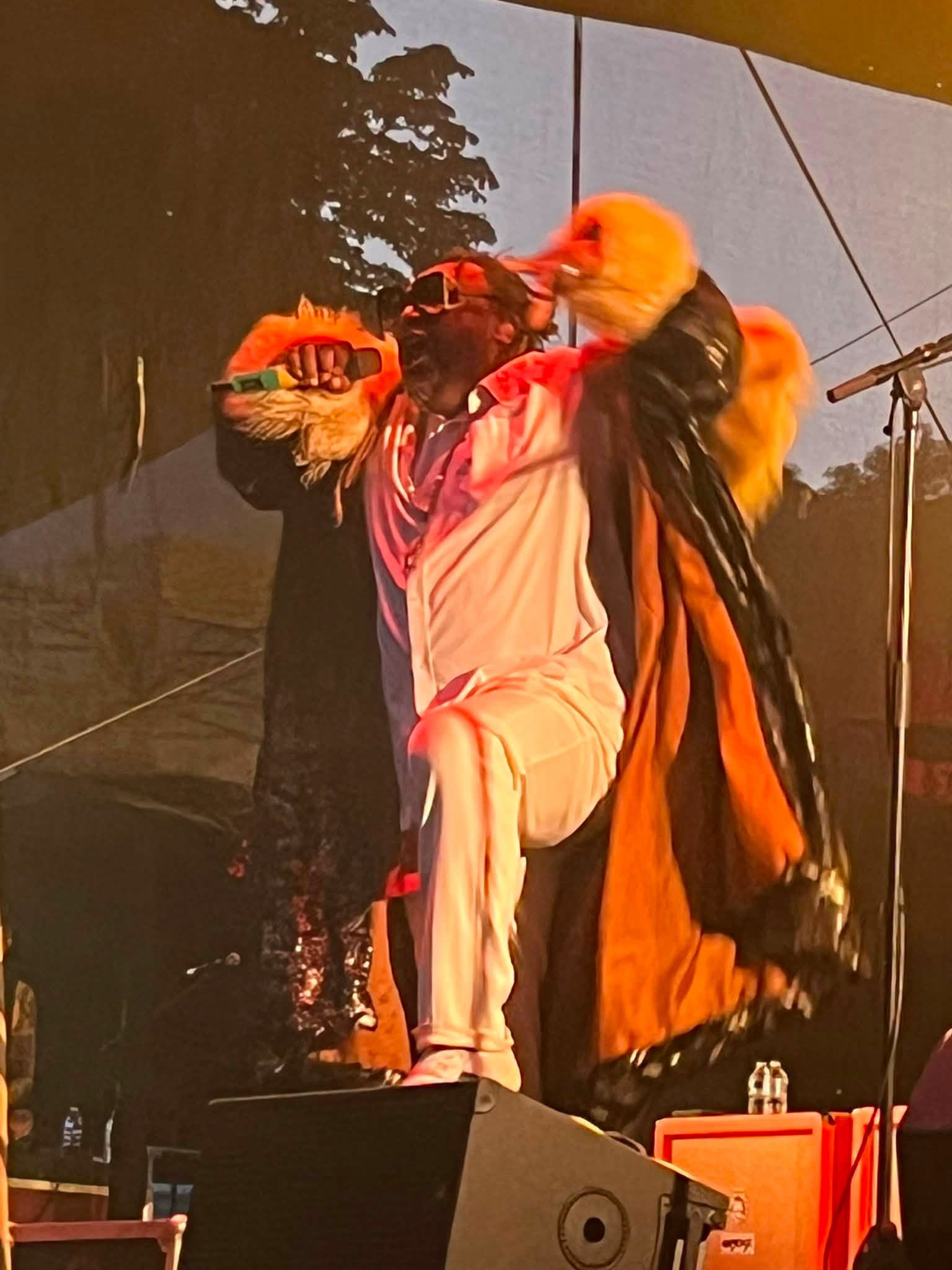 PHOTO SKINDRED KAVE FEST 2026