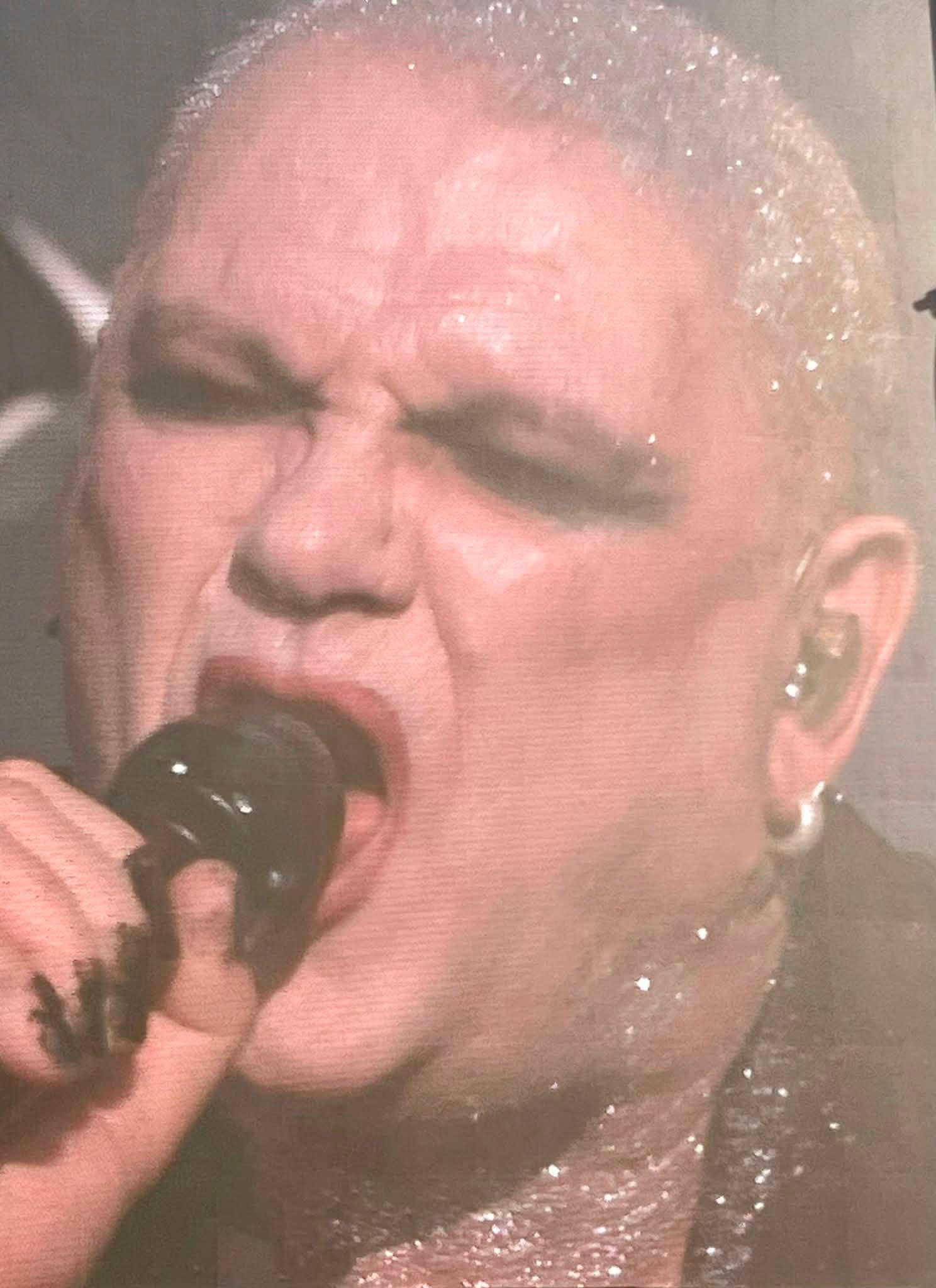 GAVIN FRIDAY LOKERSE FEESTEN 2026