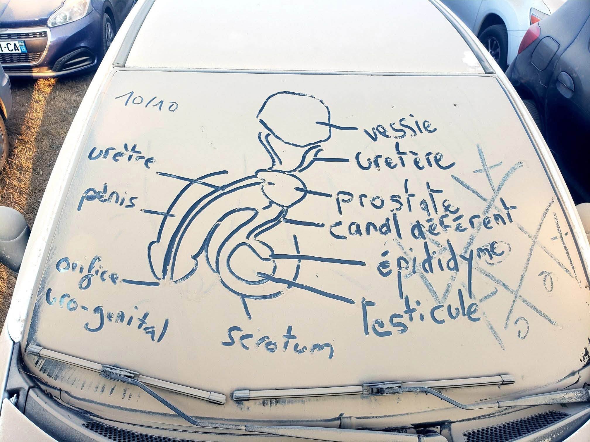 Dessins réalisés dans la poussière sur les voitures du parking du Motocultor 2026